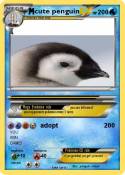 cute penguin
