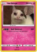 Sad Beluga