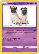twin pug