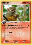 MONKEY