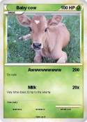 Baby cow