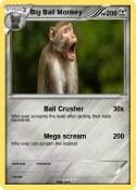 Big Ball Monkey