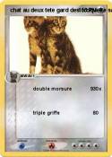  chat au deux