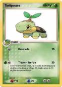Tortipouss