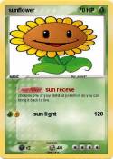 sunflower