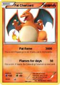 Fat Charizard