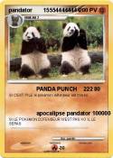 pandator 155544