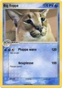 Big floppa