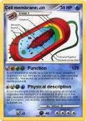 Cell membrane