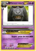 Macaco saurio