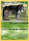 loup-border col