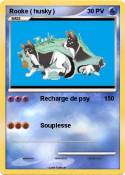 Rooke ( husky