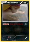 Chat casquette