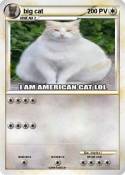 big cat