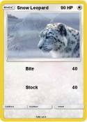Snow Leopard