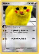 Pikacat