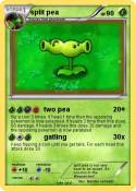 split pea
