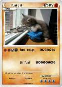fusi cat