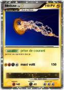 Meduse