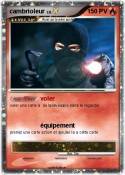 cambrioleur