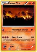 Forest Fire