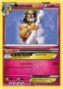 hamster