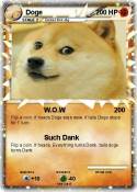Doge
