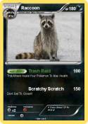 Raccoon