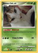 Queen Cat