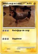 welsh corgi en