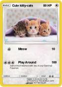 Cute kitty-cats