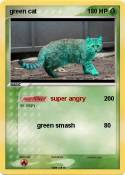 green cat