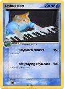 kayboard cat