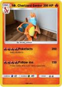 Mr. Charizard
