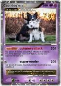 Cool dog`s