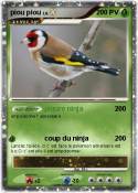piou piou
