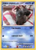 chaton mignon