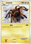 tarantula