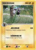 KOCZKODAN