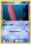 porifera sponge