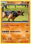 cricacrocs