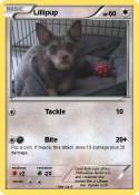 Lillipup