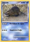 ragondin