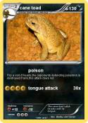 cane toad