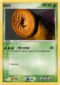 leech