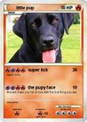 little pup