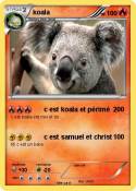 koala