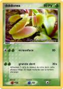 dididionea