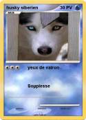 husky siberien