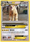 goat
